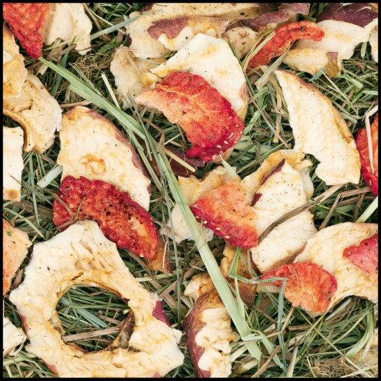 JR FARM ciotola di fieno con frutta mangime complementare PROMO7gg